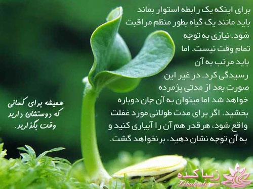 حــــــــــــــــــرفهای خودمانی 