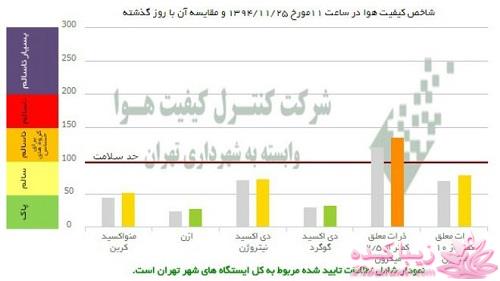 گیاهان آپارتمانی 