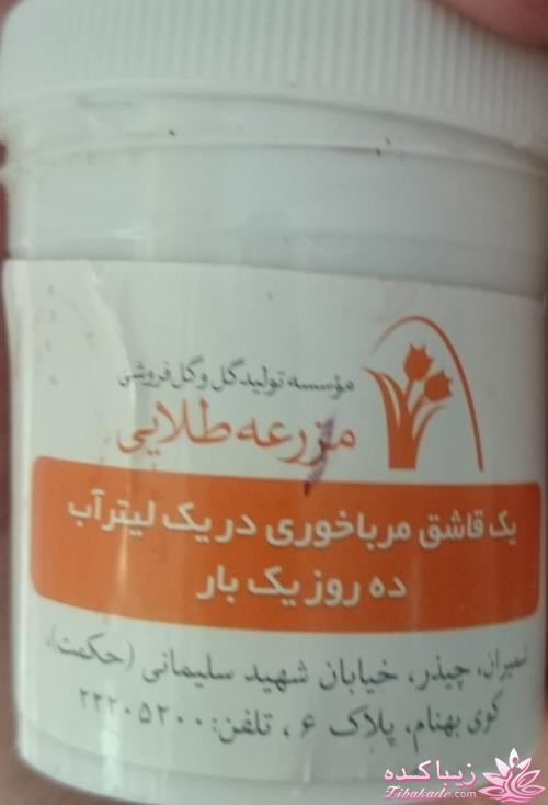 گیاهان آپارتمانی 