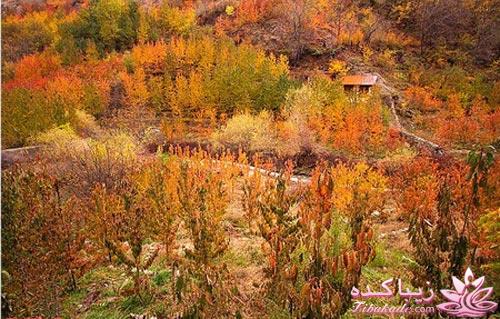 ایرانگردی | عکس