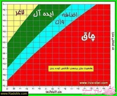 مجله سرگرمی زیباکده