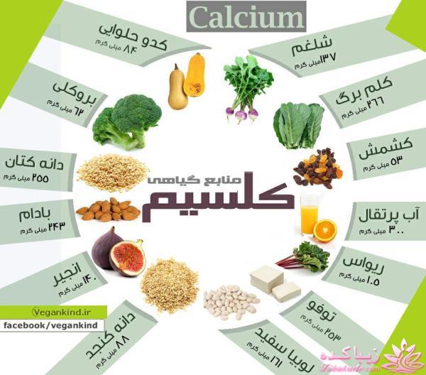 اینفوگرافی تغذیه