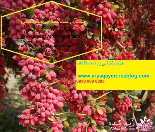 فروشگاه زرشک وزعفران قائن