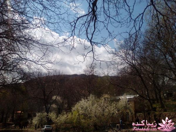 .:آلبوم عکسهای خودگرفته ما:.